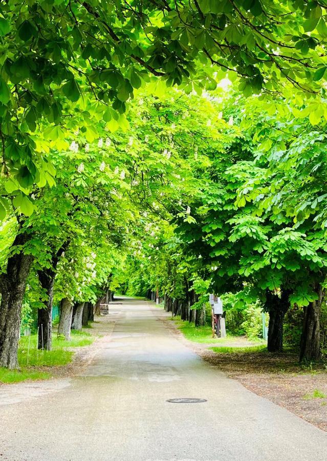 Aranygesztenye Apartmanhaz Balatonudvari Extérieur photo
